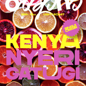 Kenya Nyeri Gatugi