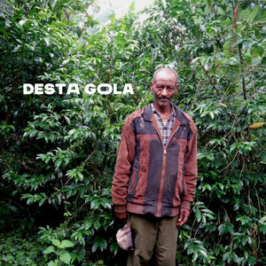 Ethiopia Desto Gola Double Washed